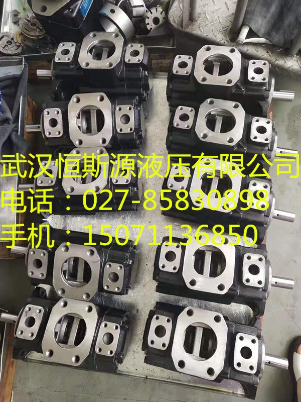 天津?yàn)I海新區(qū)：?jiǎn)尉€(xiàn)干油泵及裝置PAVC100D32R426C3AM22